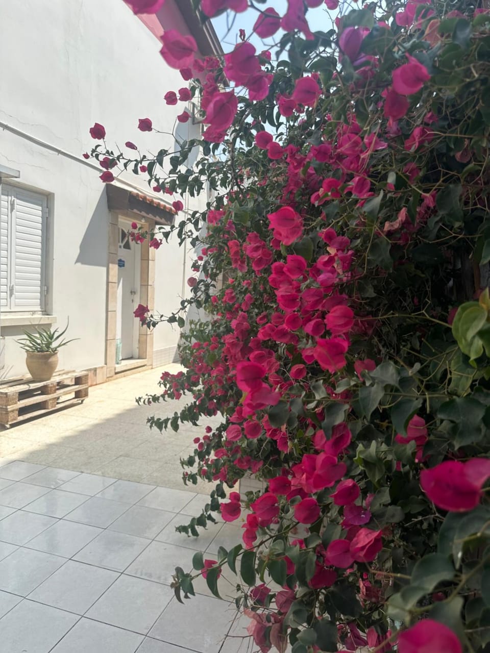 Leonidas Seaside Villa in Larnaca District