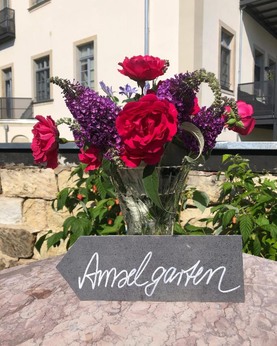 Amselgarten Apartment in Pirna