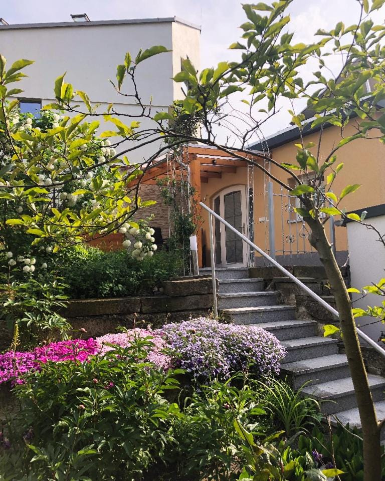 Amselgarten Apartment in Pirna