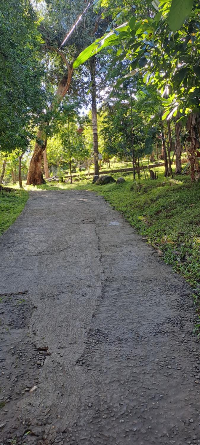 Spring, Natural landscape, Garden, Garden view