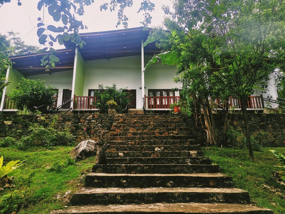 Property building, Garden view