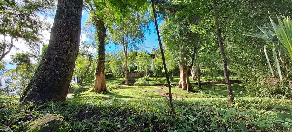 Natural landscape, Garden