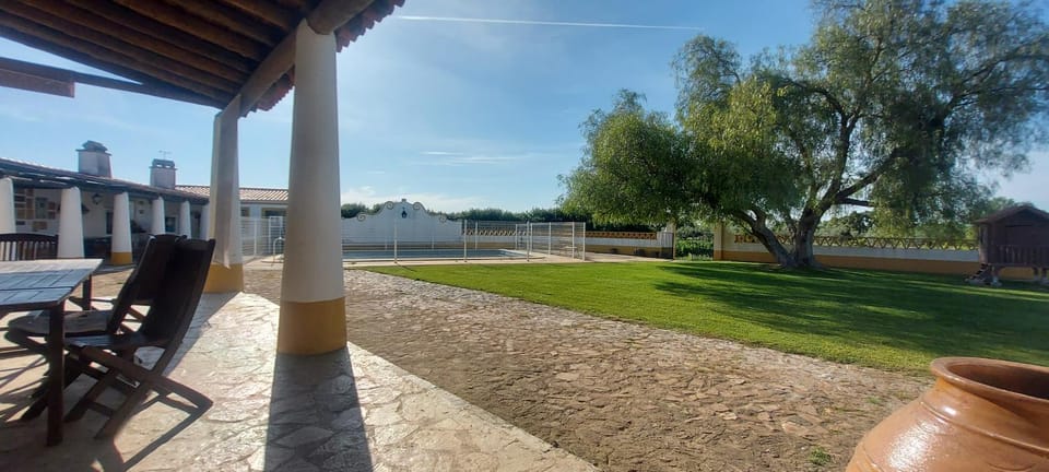 Patio, Garden, Garden view