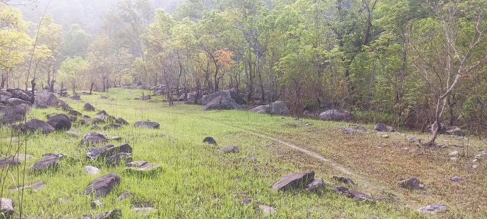 Natural landscape