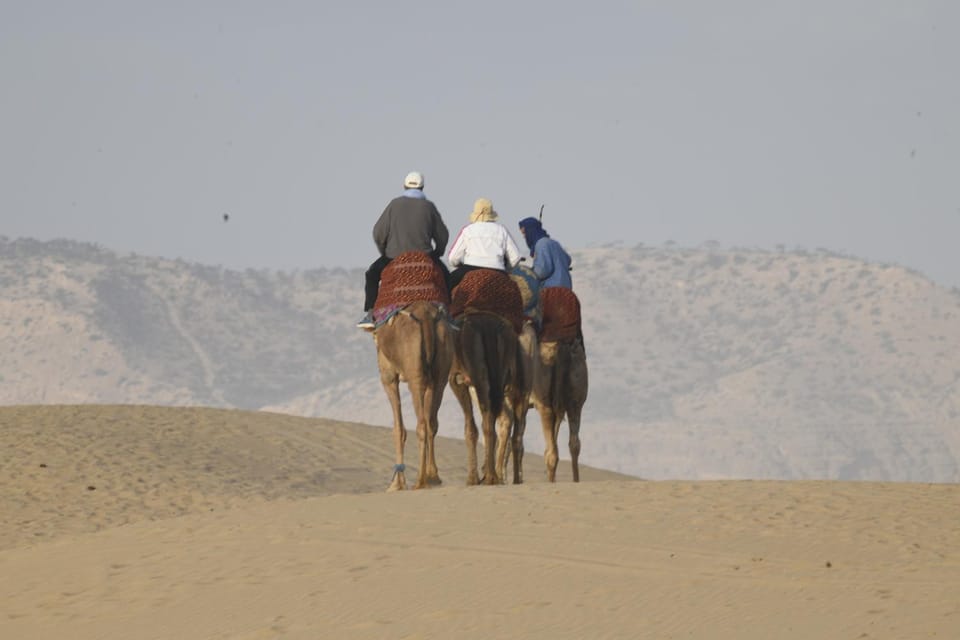 Natural landscape, Horse-riding, Animals