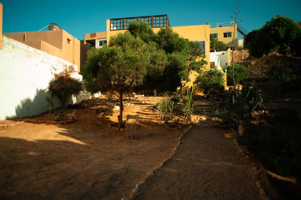 Property building, Garden, Garden view