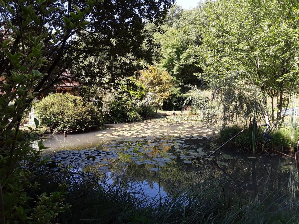 Le chalet de la grenouille verte Chalet in Nouvelle-Aquitaine