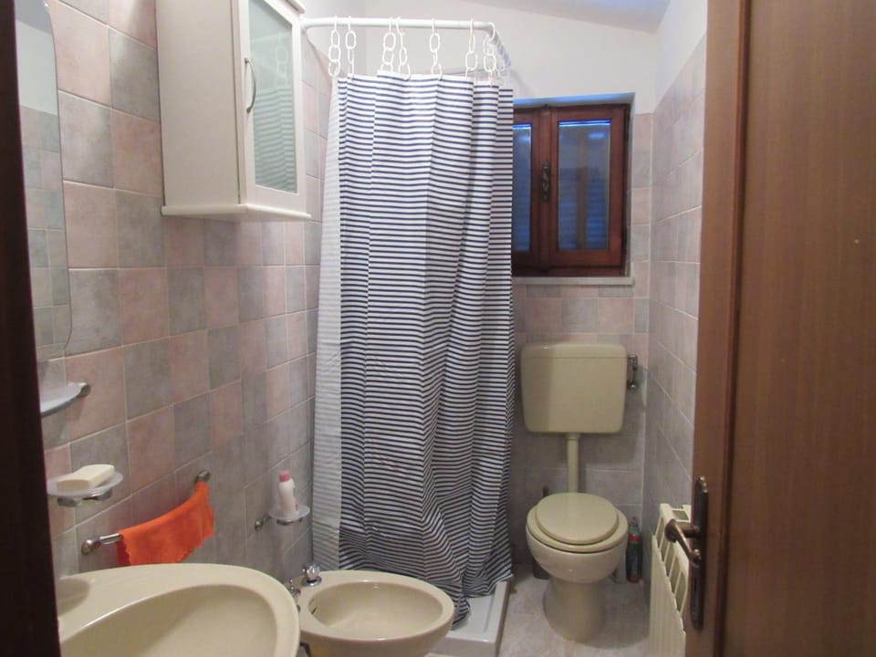 Shower, Toilet, Bathroom, bidet