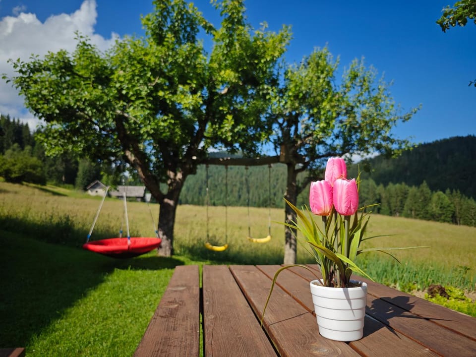 Cottage Zoja House in Slovenia