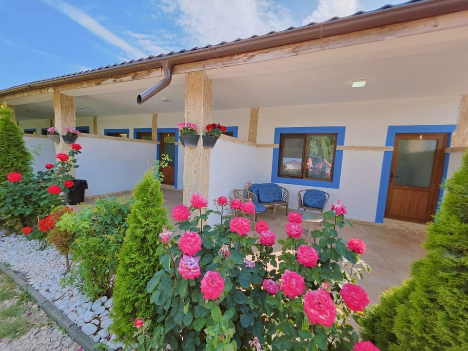 Pescarul Deltei Villa in Romania