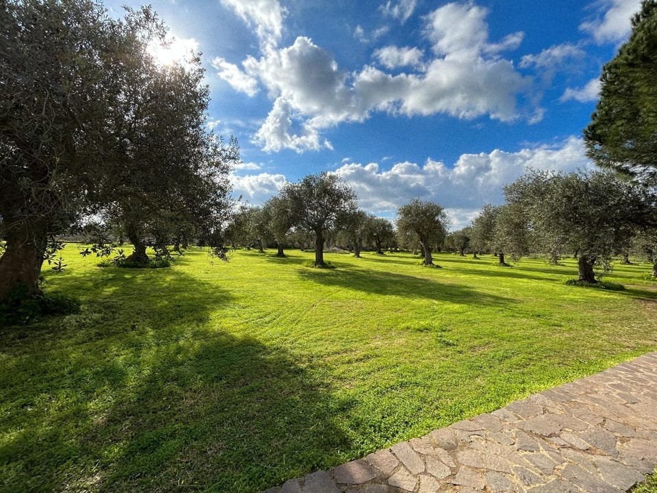 Natural landscape, Garden, Garden, Garden view