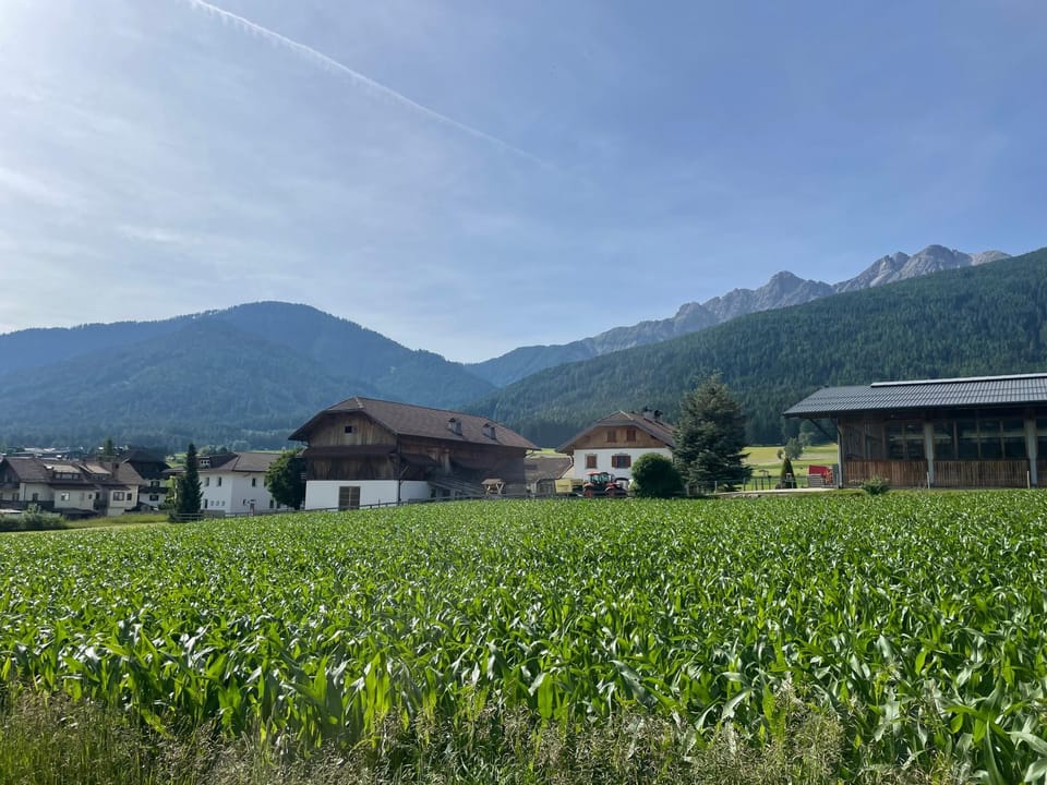 Natural landscape