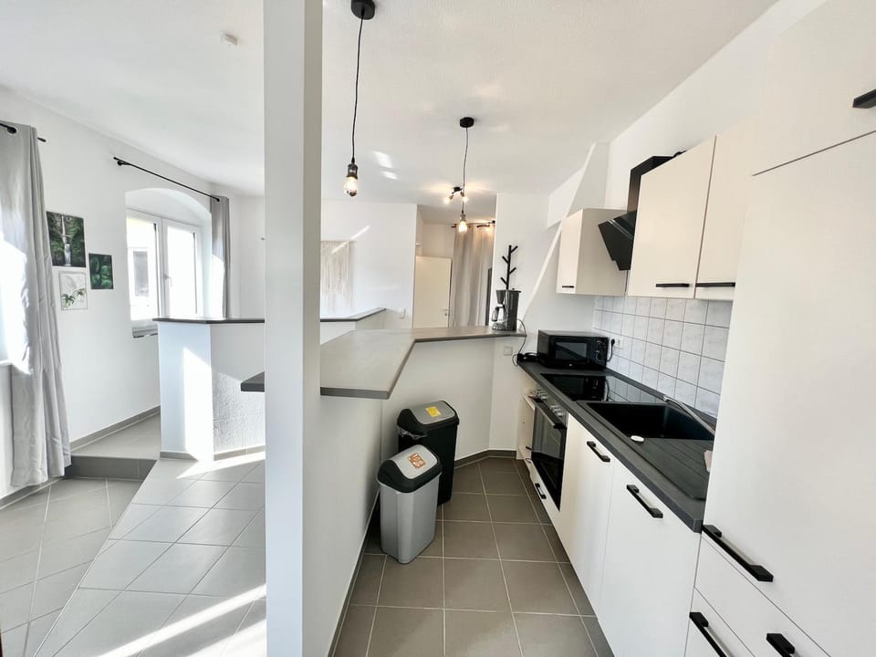 Kitchen or kitchenette, dishwasher, minibar, pet friendly, stove