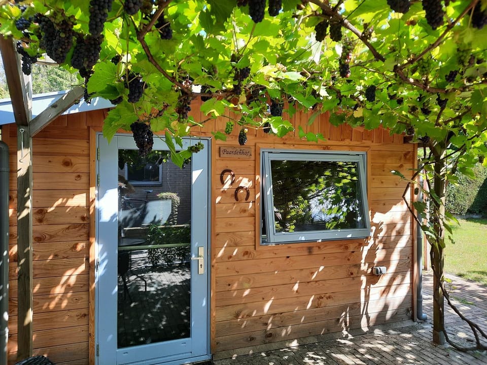 B&B Paardenhof Bed and Breakfast in Overijssel (province)