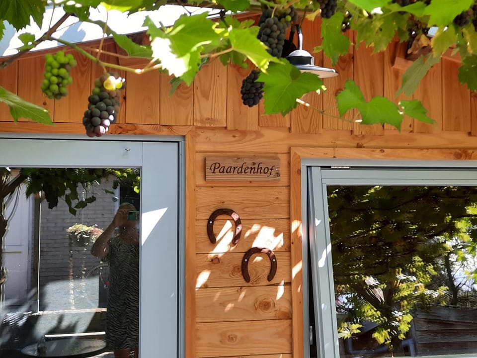 B&B Paardenhof Bed and Breakfast in Overijssel (province)