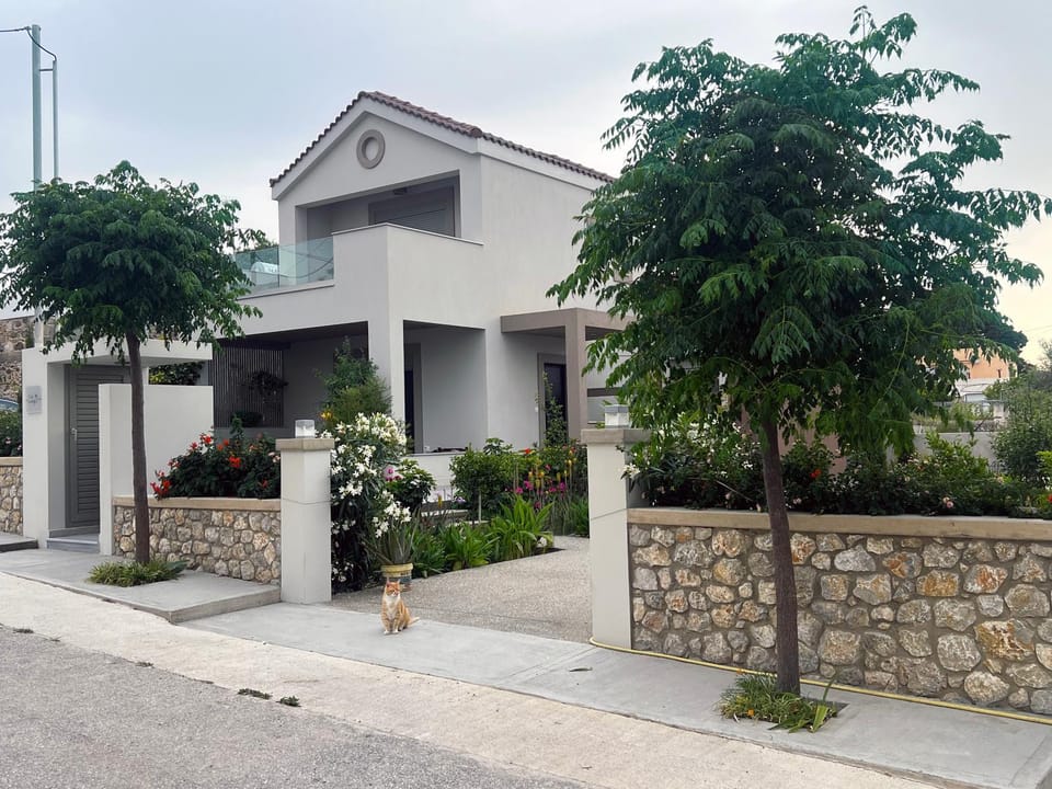 Property building, Neighbourhood, Garden, Street view