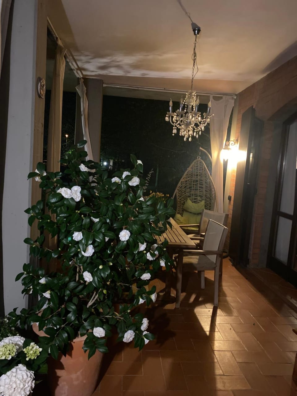 Patio, Balcony/Terrace