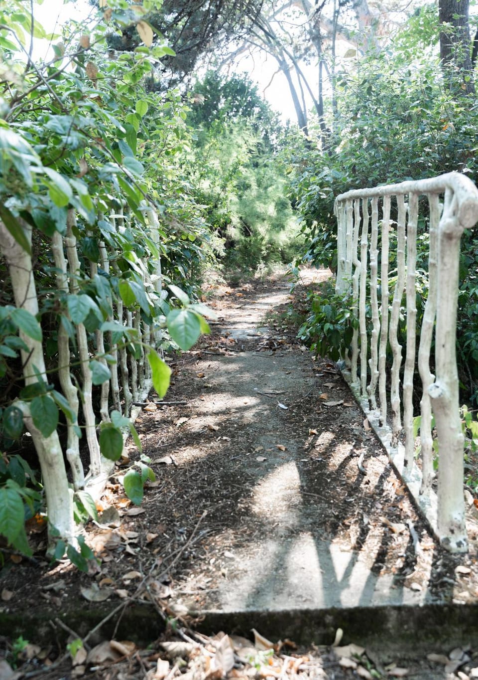 Day, Natural landscape, Garden, Garden view