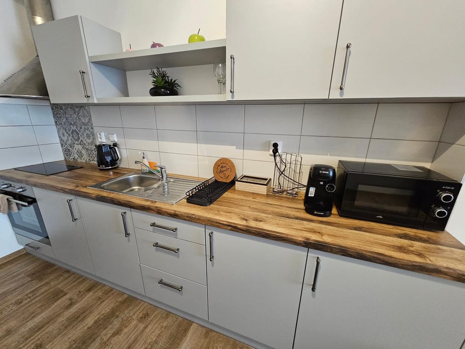 Coffee/tea facilities, Kitchen or kitchenette, minibar, pet friendly, stove