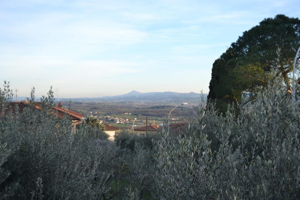 Natural landscape