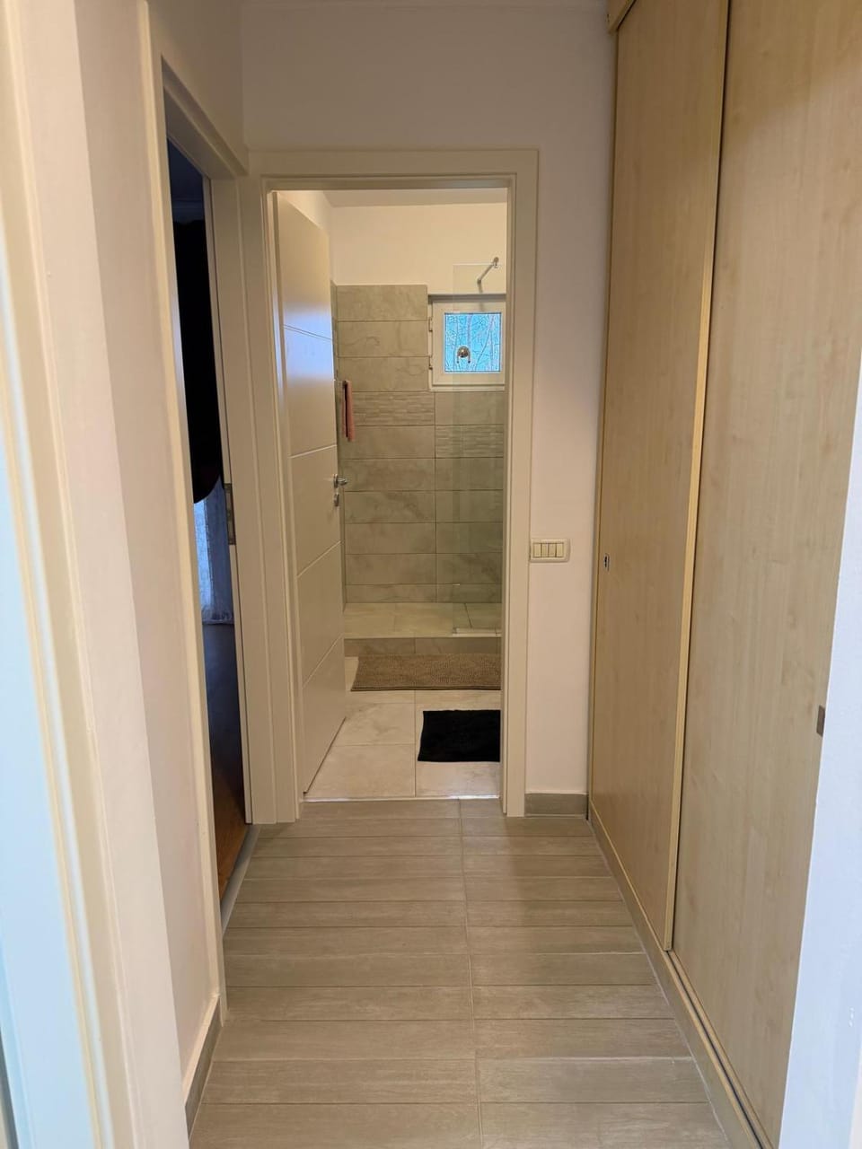 Afrodita Apartment Apartment in Timisoara