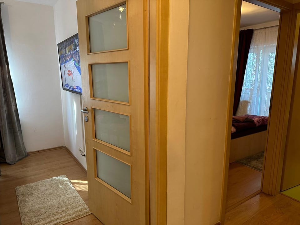 Afrodita Apartment Apartment in Timisoara