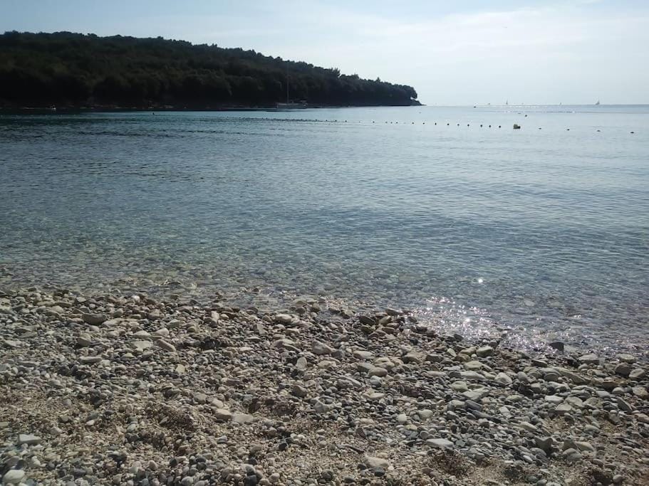 Nora, a big terrace by the sea Apartment in Banjole