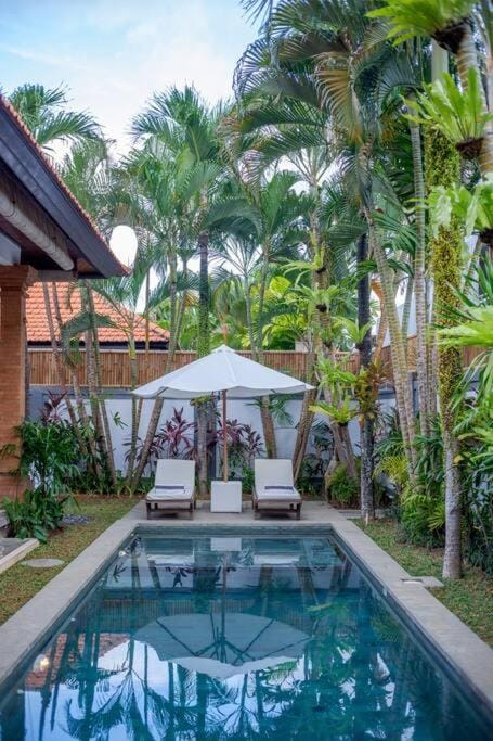 Property building, Patio, Spring, Day, Garden, Garden view, Pool view, Swimming pool, sunbed