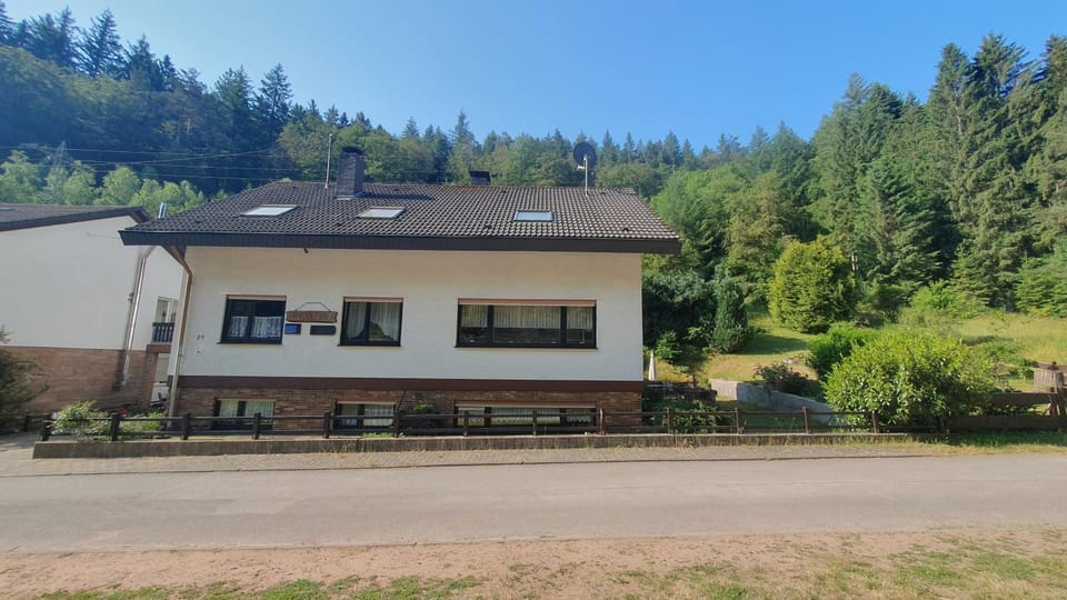 Pension Ernst im Herzen des Pfälzerwaldes mit Küche Bed and Breakfast in Rhineland-Palatinate