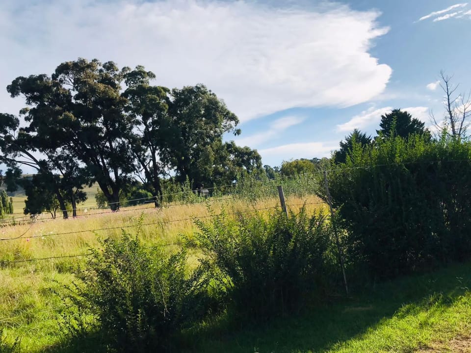 DAX BnB Bed and Breakfast in KwaZulu-Natal
