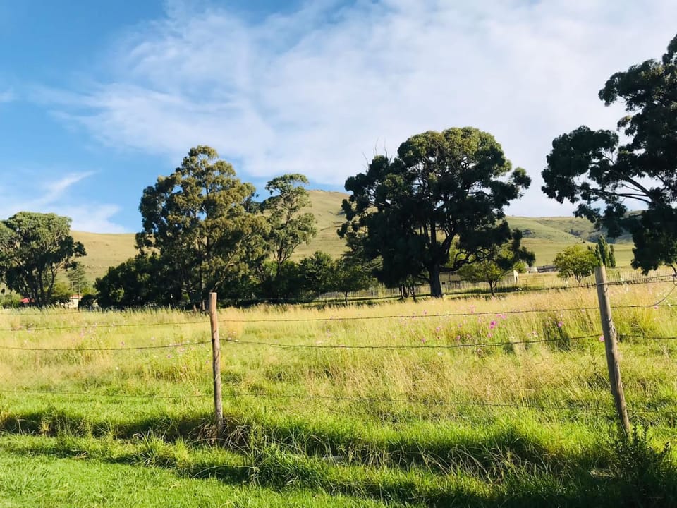 DAX BnB Bed and Breakfast in KwaZulu-Natal