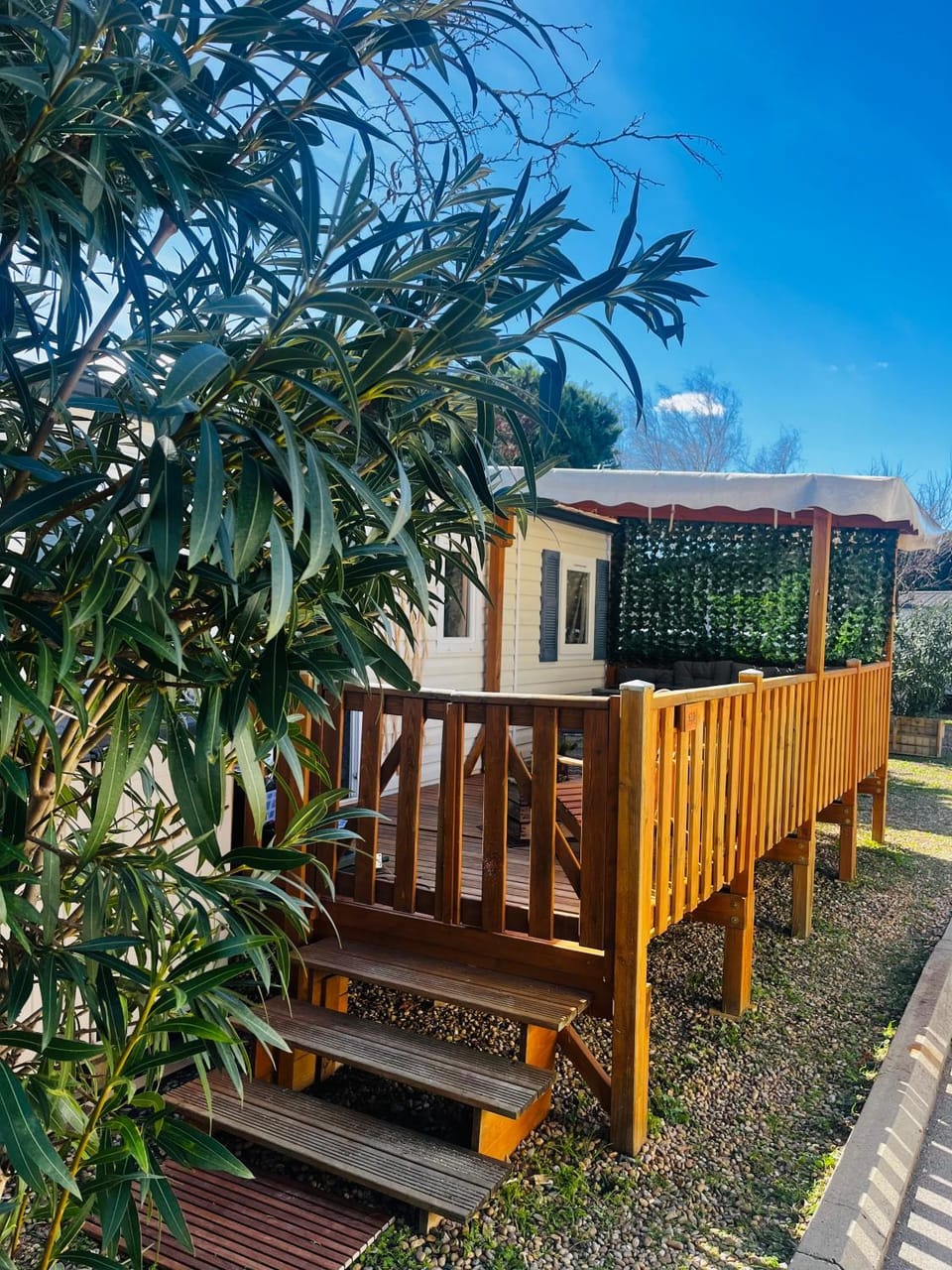 Garden, Balcony/Terrace, Garden view