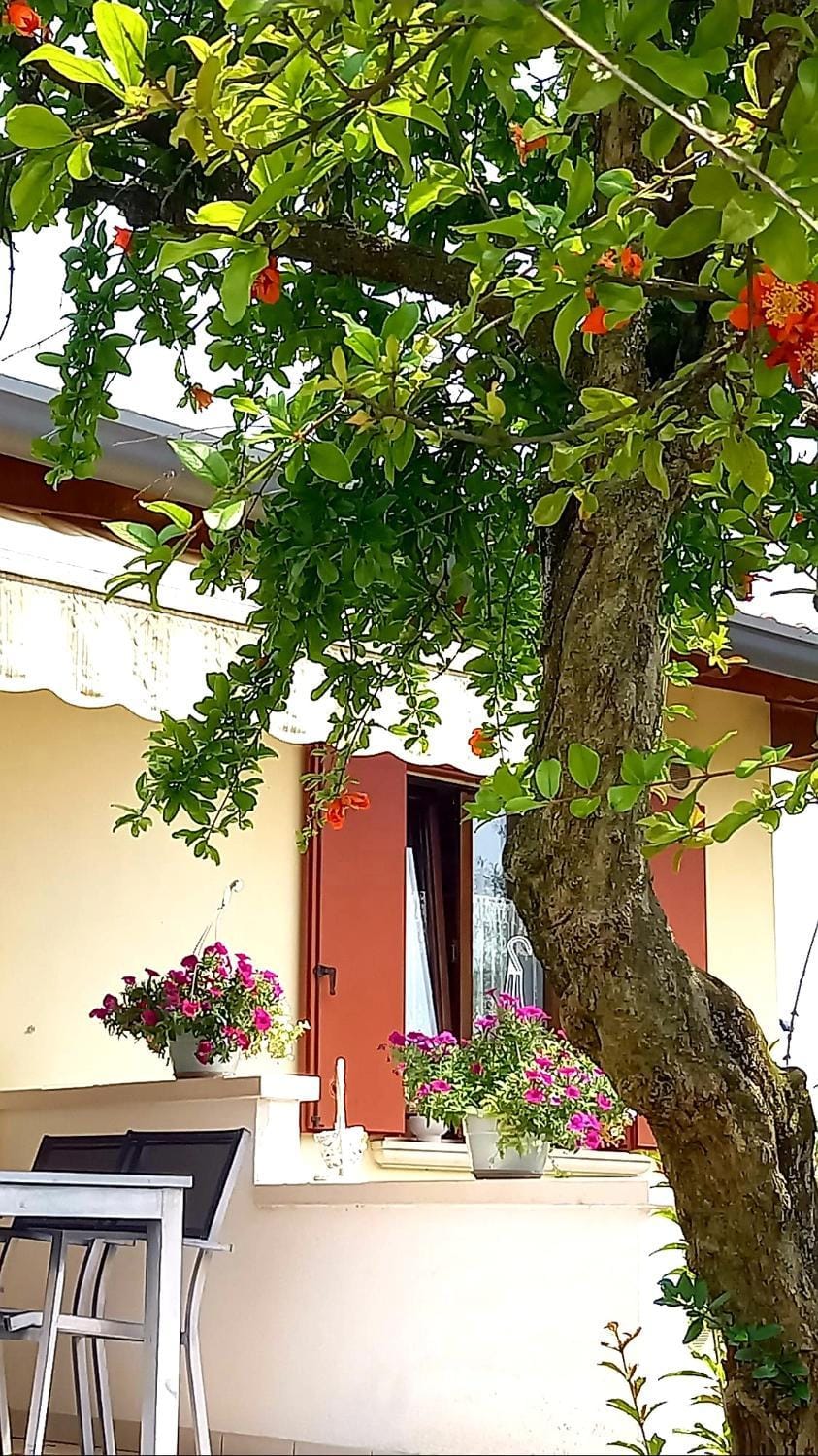Garden view