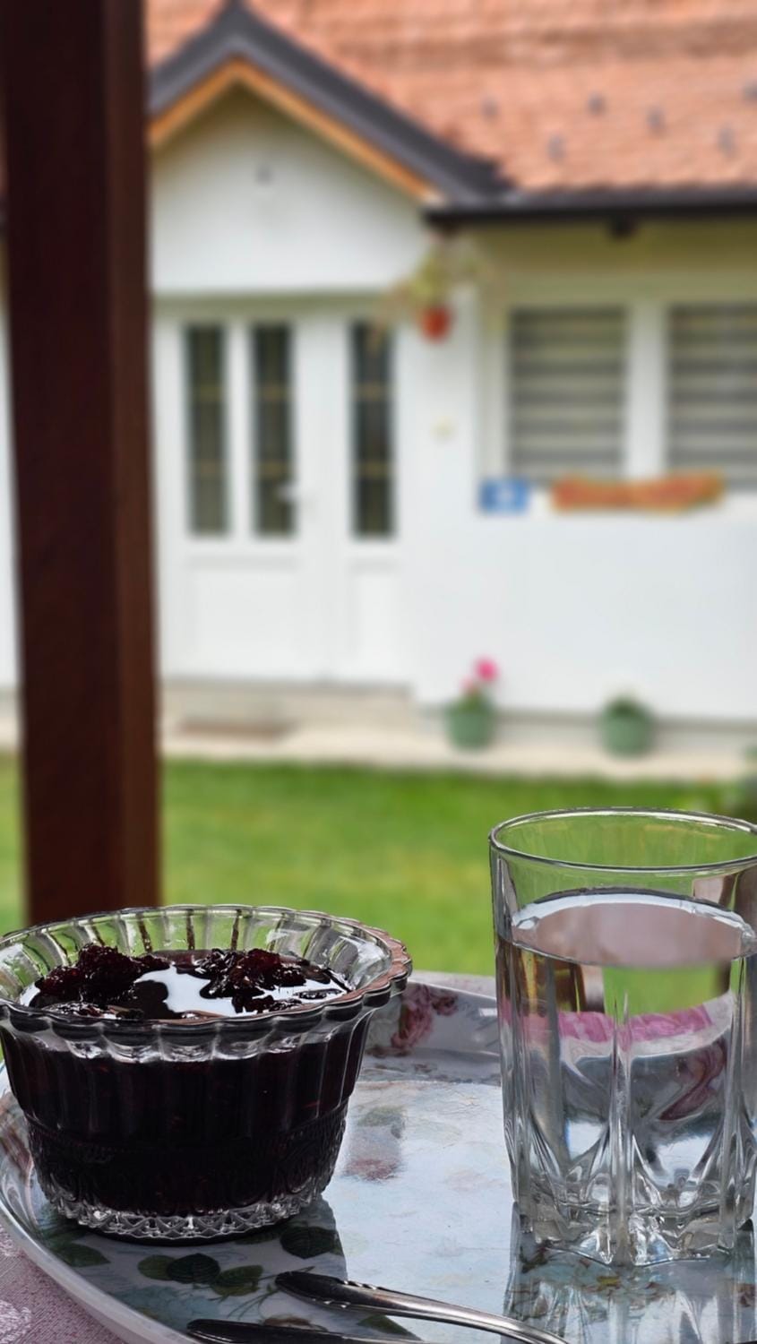 Verina kuća Apartment in Zlatibor District, Serbia