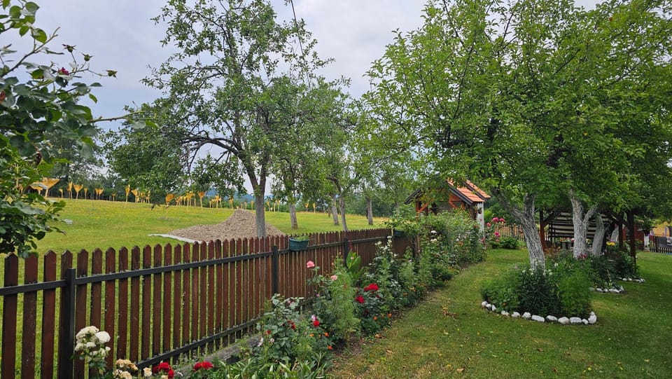 Verina kuća Apartment in Zlatibor District, Serbia