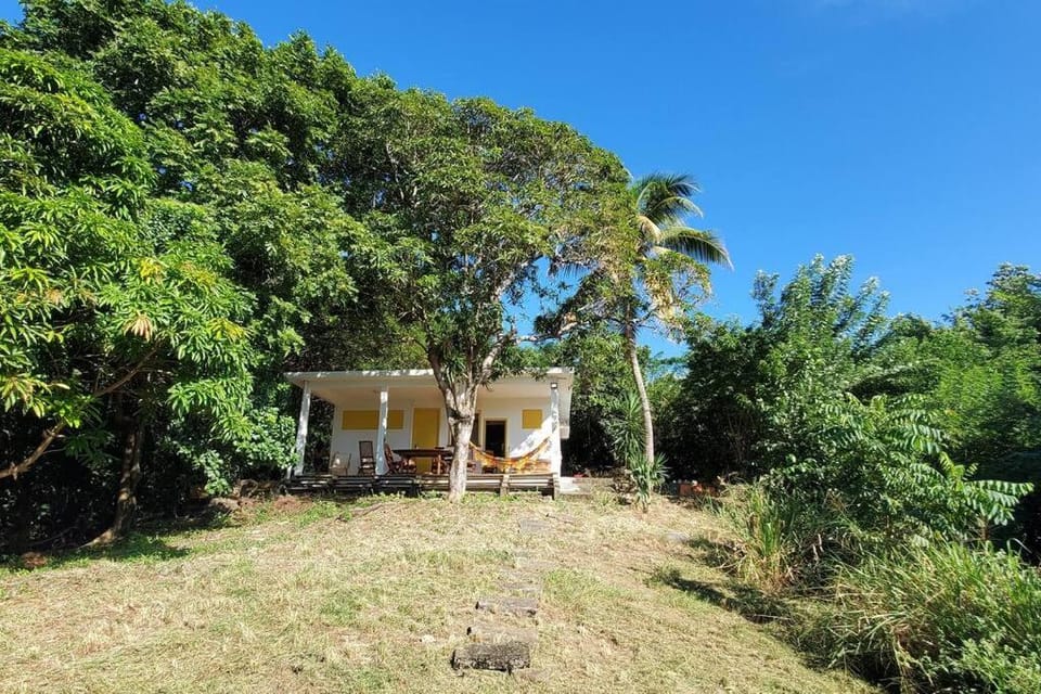 Property building, Garden, Garden view
