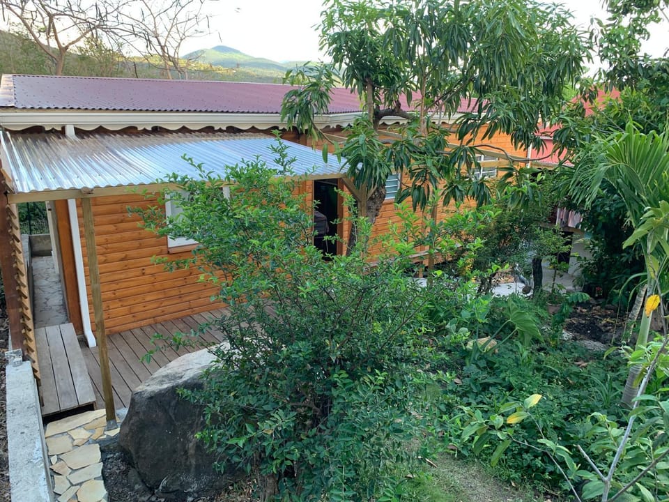 Garden, View (from property/room)