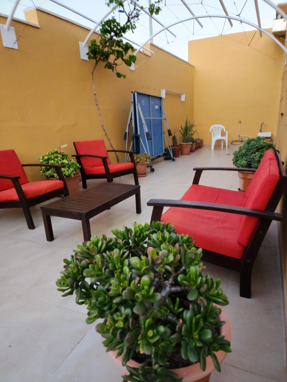 Patio, Garden