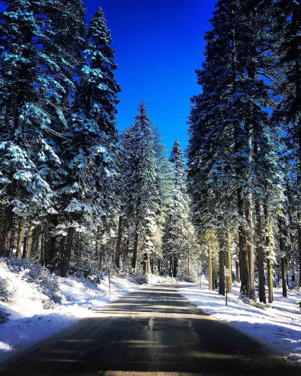 Natural landscape, Winter