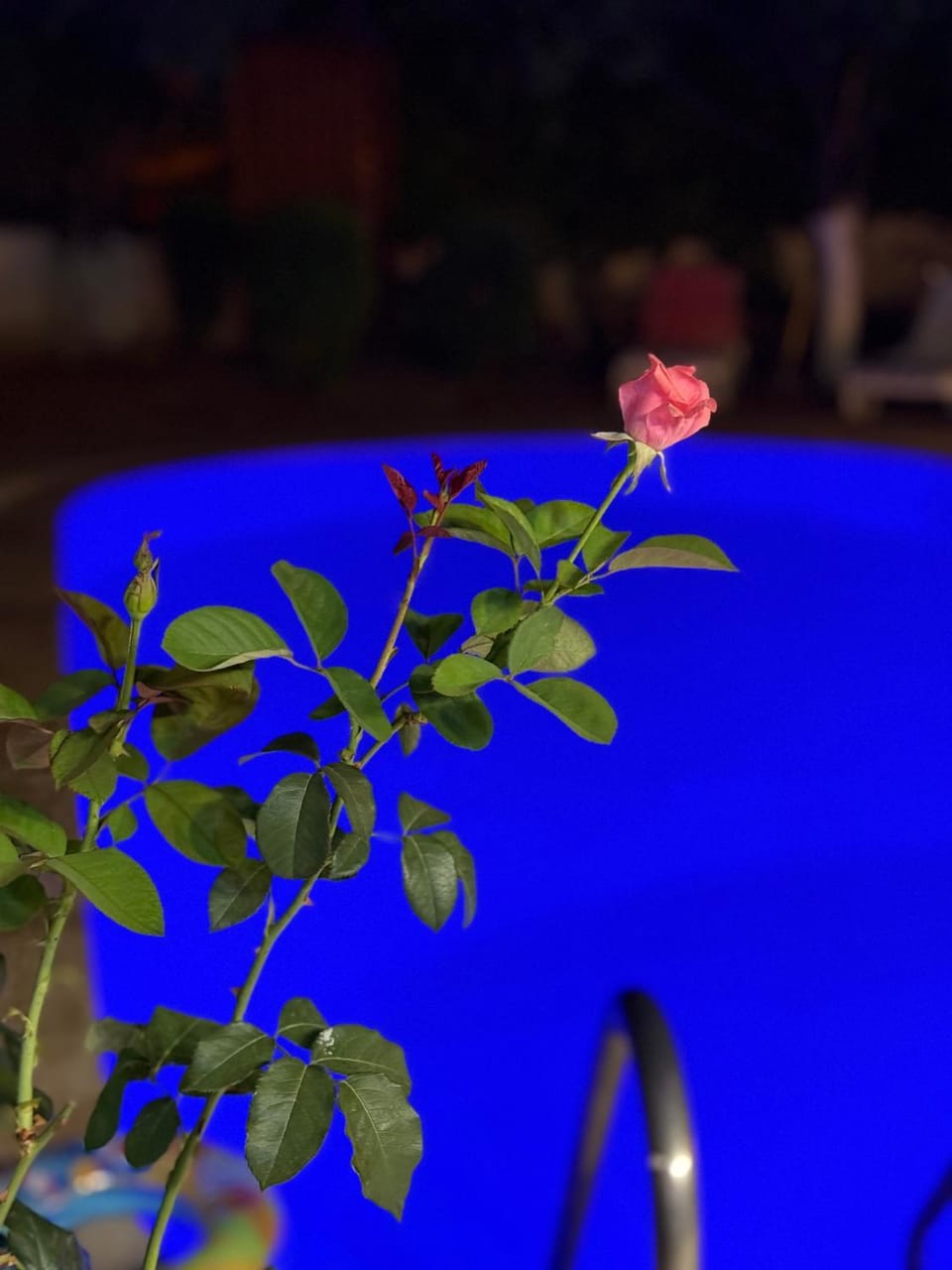 -VİLLA Vildan- 12 KİŞİLİK ÖZEL HAVUZLU 6 ODALI VİLLA House in Antalya Province
