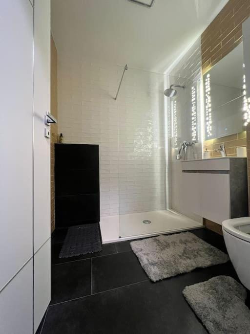 Apartament in Cluj Napoca Apartment in Cluj-Napoca