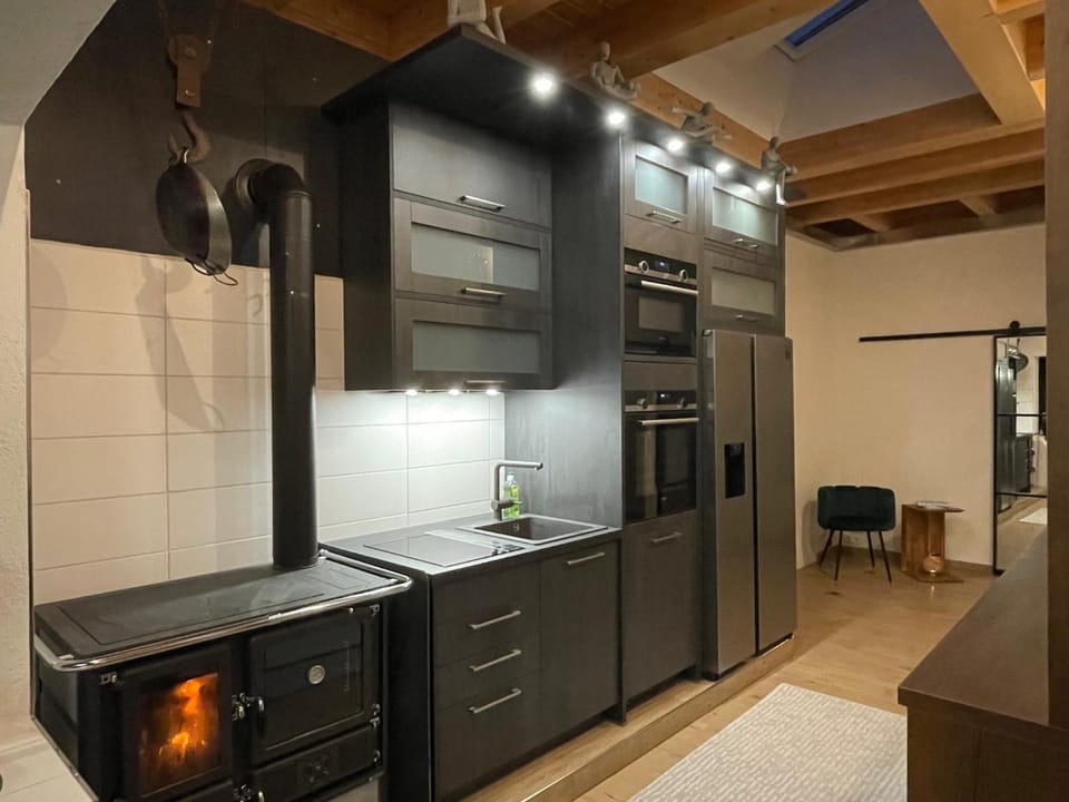 Kitchen or kitchenette, dishwasher, minibar, oven, stove