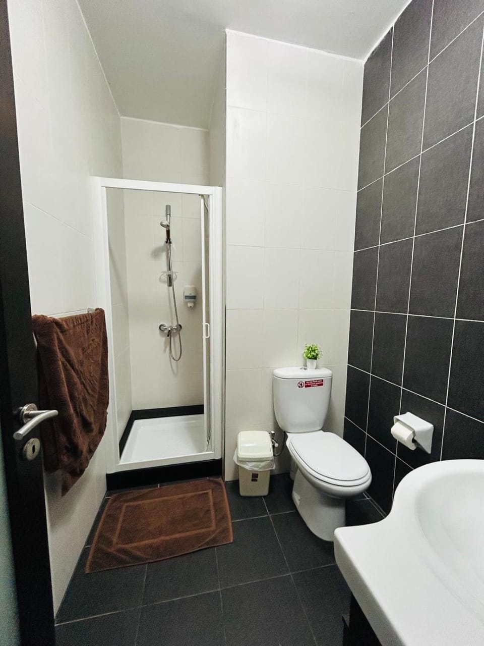 Shower, Toilet, Bathroom, bidet
