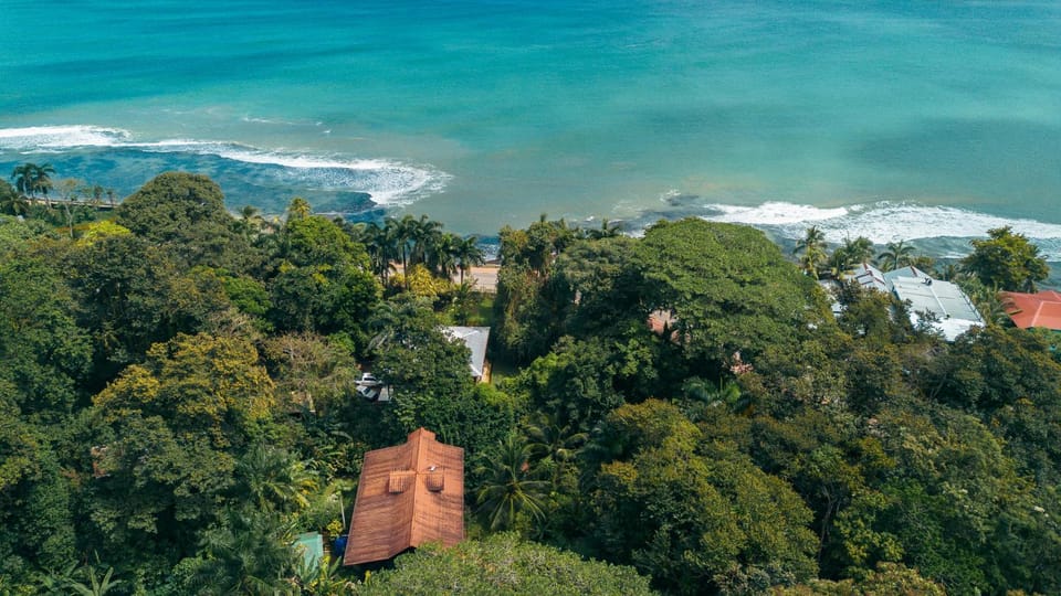 Casa de Mono Bocas Bed and Breakfast in Bocas del Toro Province