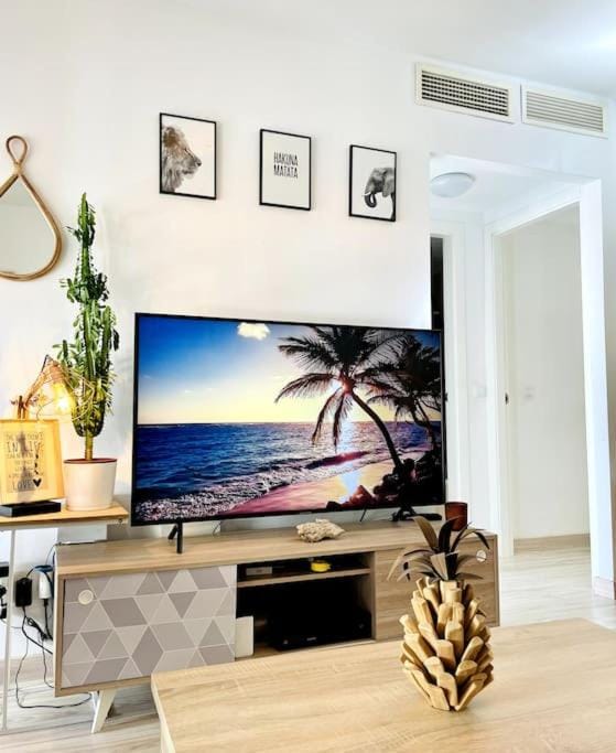 Communal lounge/ TV room, TV and multimedia