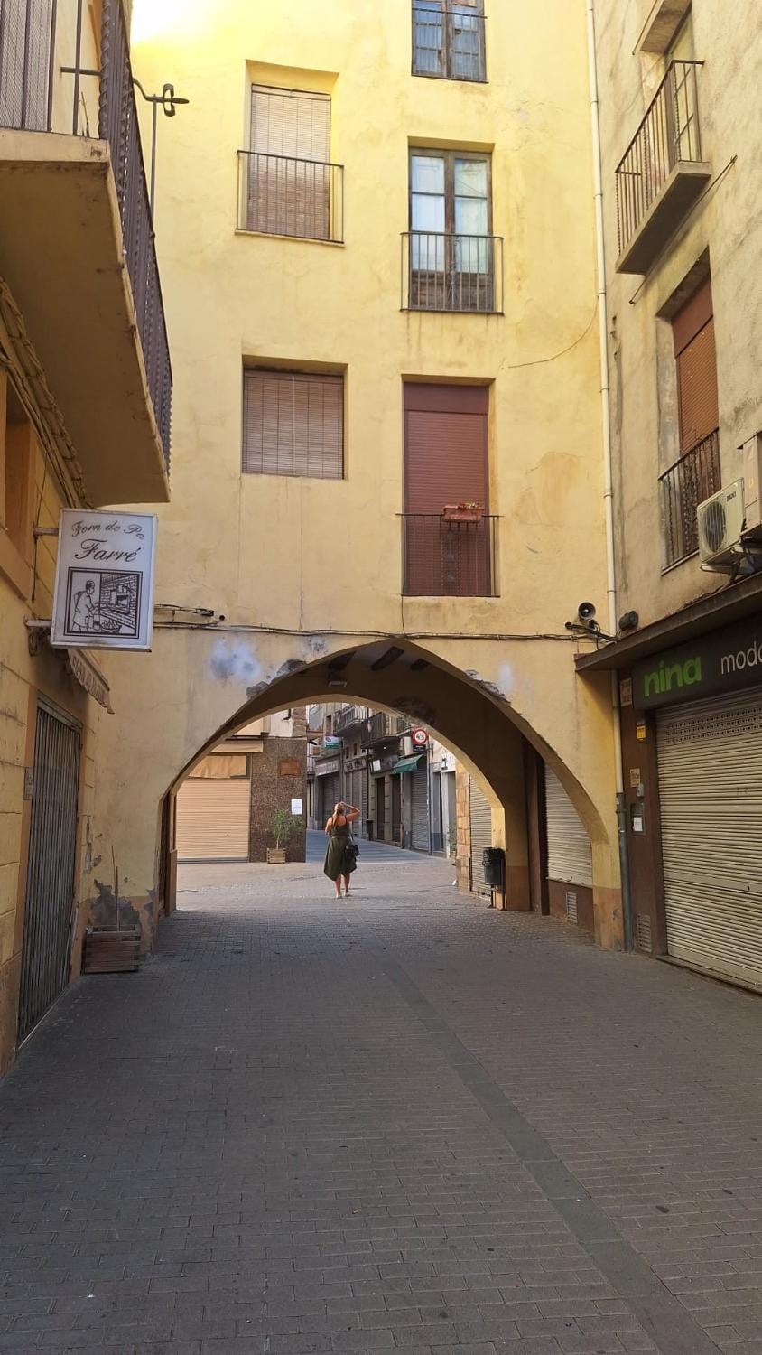 Pio Apartment in Pallars Jussà