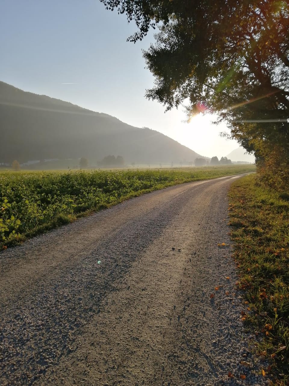 Natural landscape