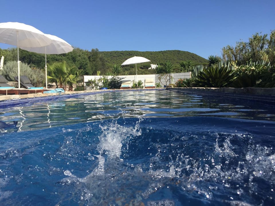 Garden, Swimming pool