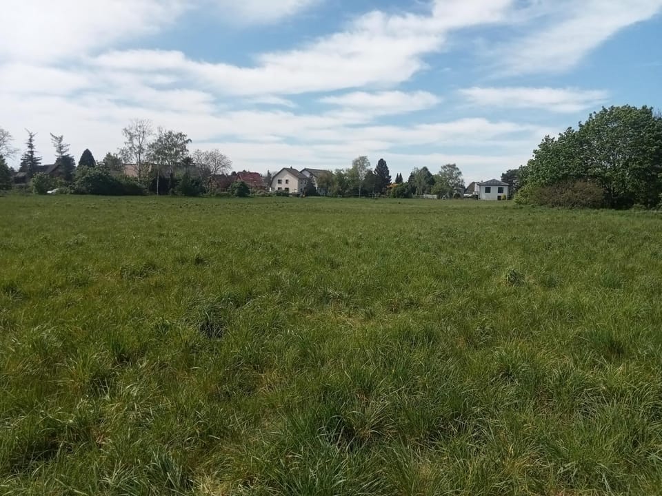 Area and facilities