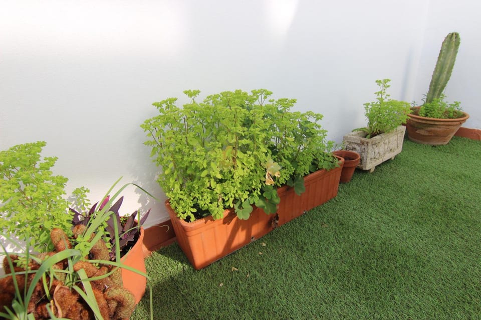 Off site, Day, Garden, Balcony/Terrace, Garden view